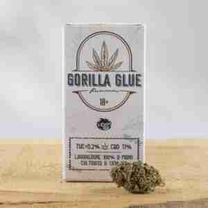 Gorilla Glue