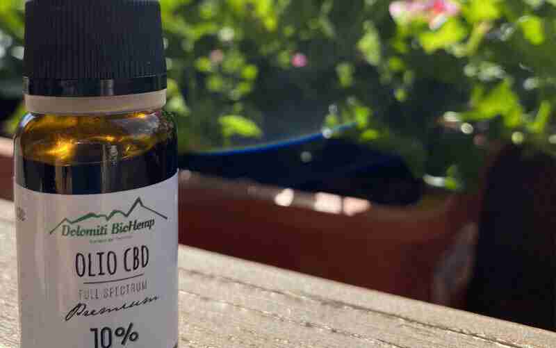Olio di canapa: come utilizzarlo correttamente?
