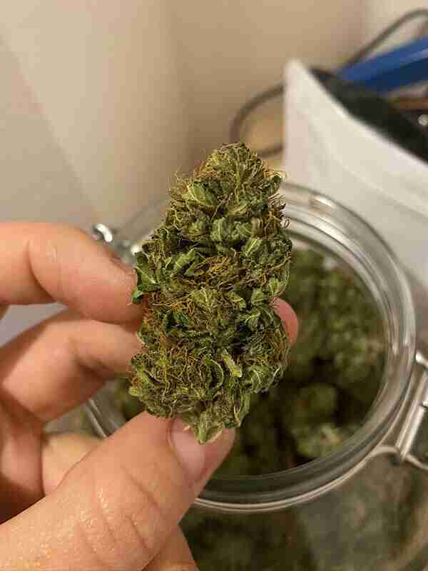 THC nel sangue