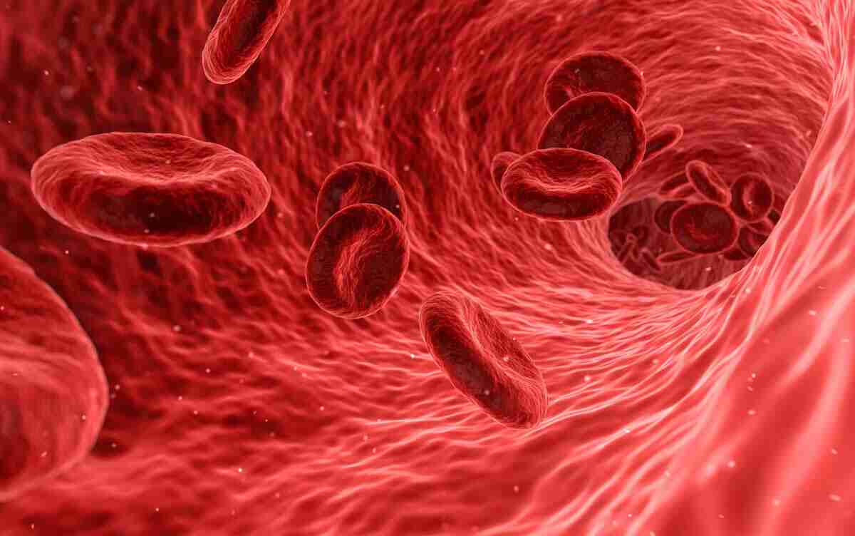 Quanto resta il THC nel sangue e come si individua?