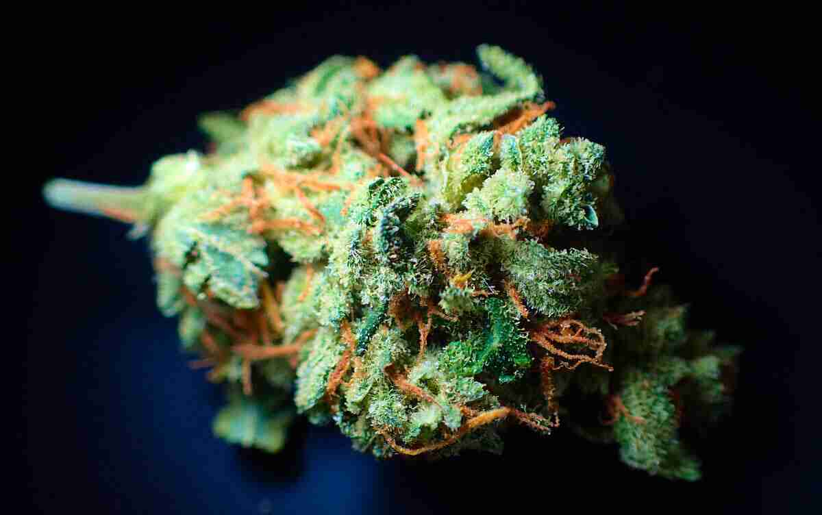 Cos’è il THC, dove lo troviamo e che proprietà ha