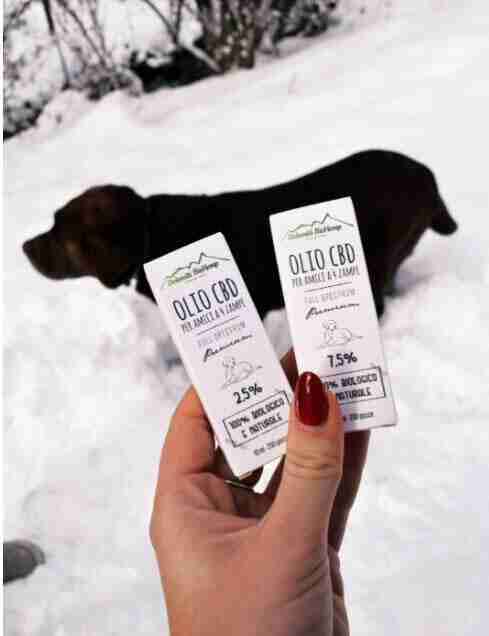 olio CBD per cani