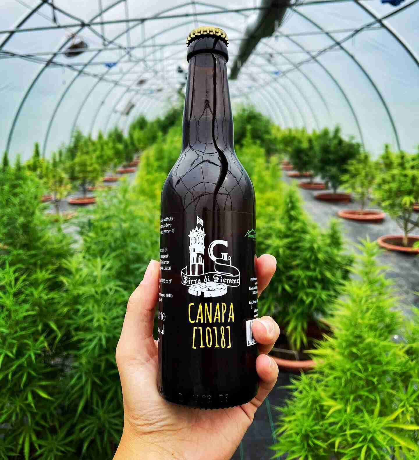 alcol-e-CBD-birra-alla-canapa