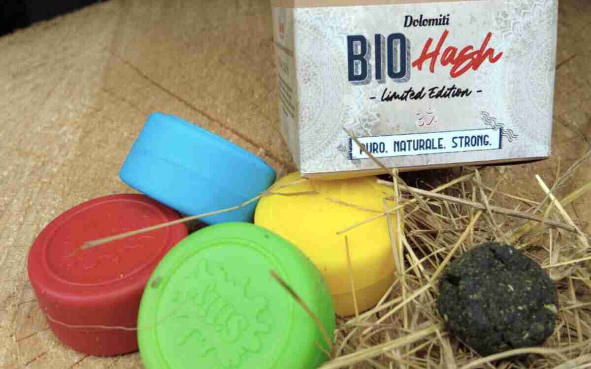 Hashish: cos’è e cosa c’è dentro a questo derivato della Cannabis