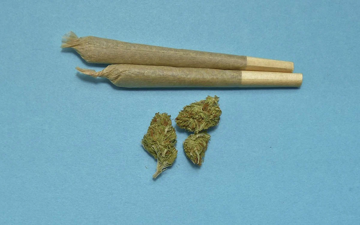 più forte hashish o erba