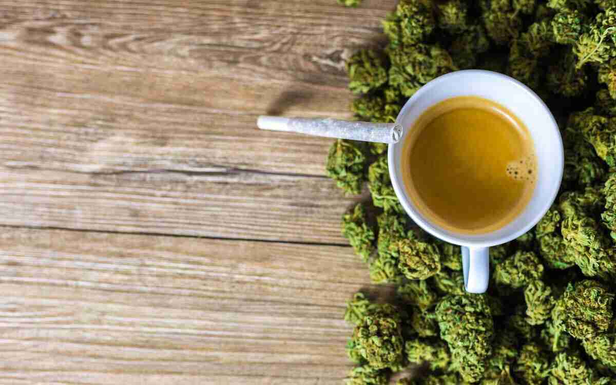 Caffè alla canapa: bontà, gusto e benessere in un’unica tazzina