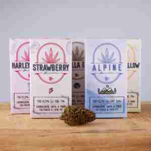 Cannabis Light a Sorpresa