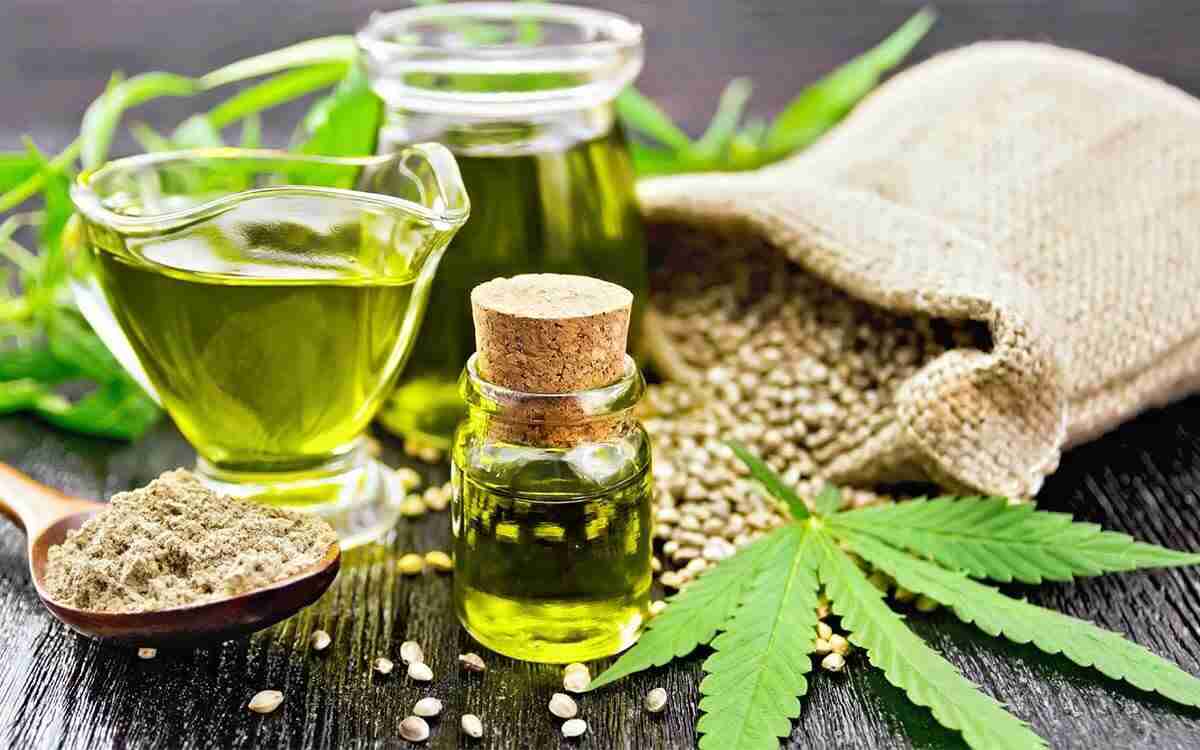 Canapa sativa: proprietà terapeutiche e principali usi