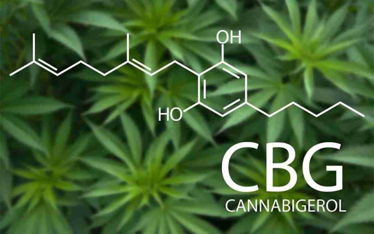 Cannabigerolo (CBG): i benefici e le proprietà
