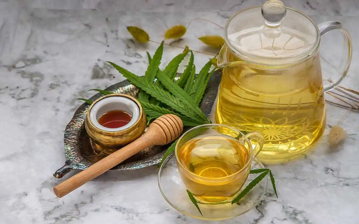 tisana alla canapa