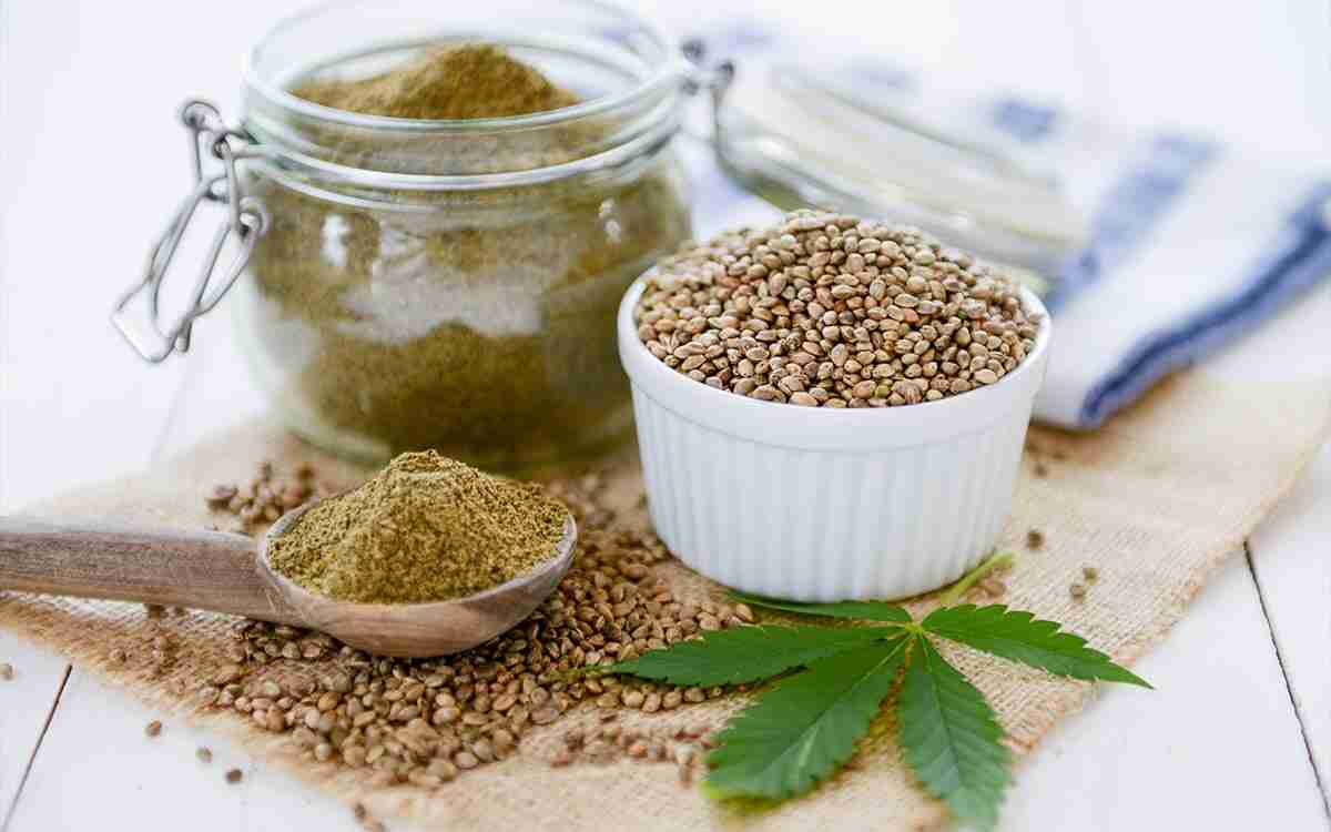 Proteine della canapa: info utili sulla pianta e sui suoi nutrienti